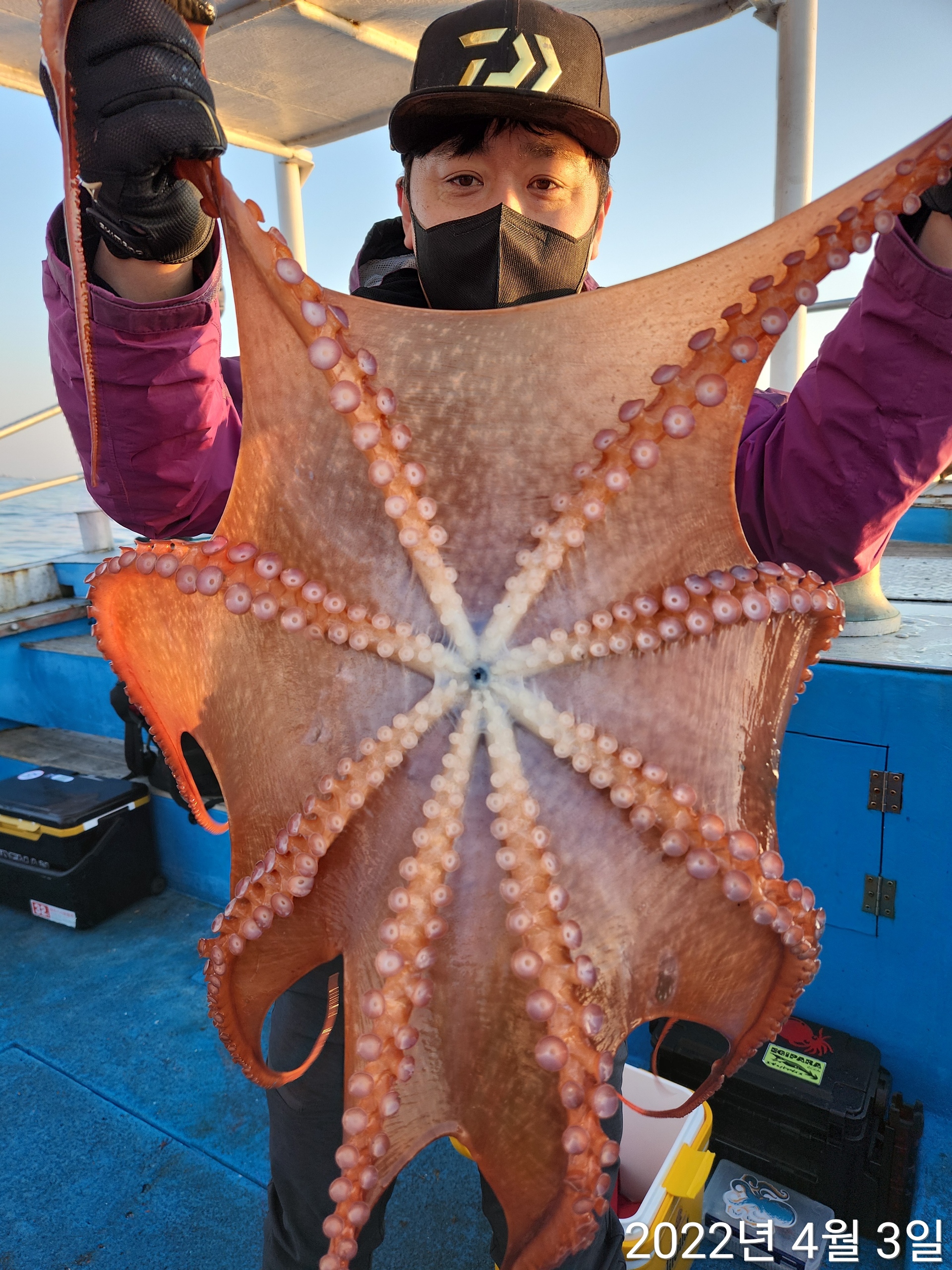 21인승비너스호 대왕문어조황 4/3