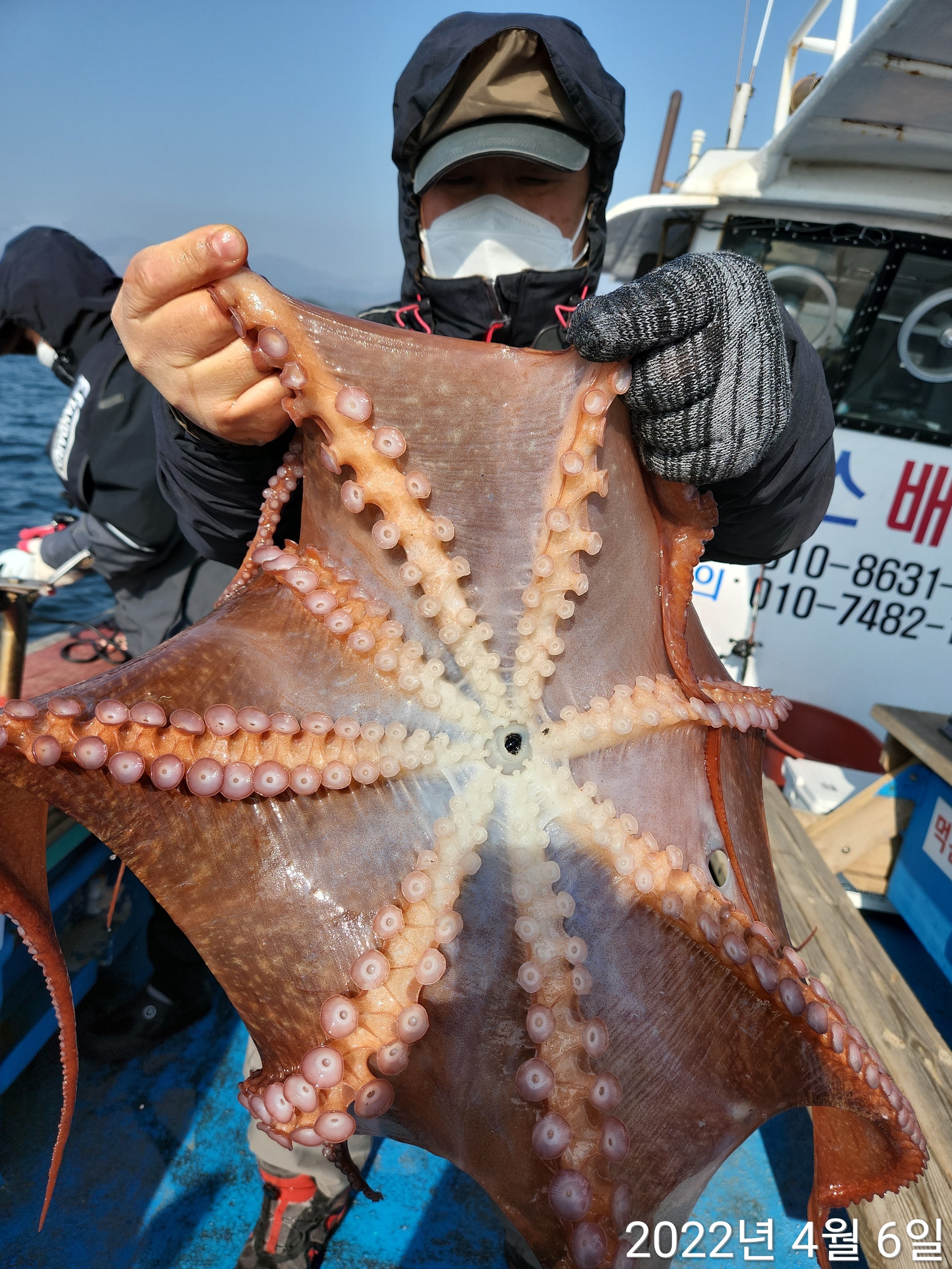 21인승 비너스호 문어조황 4/6