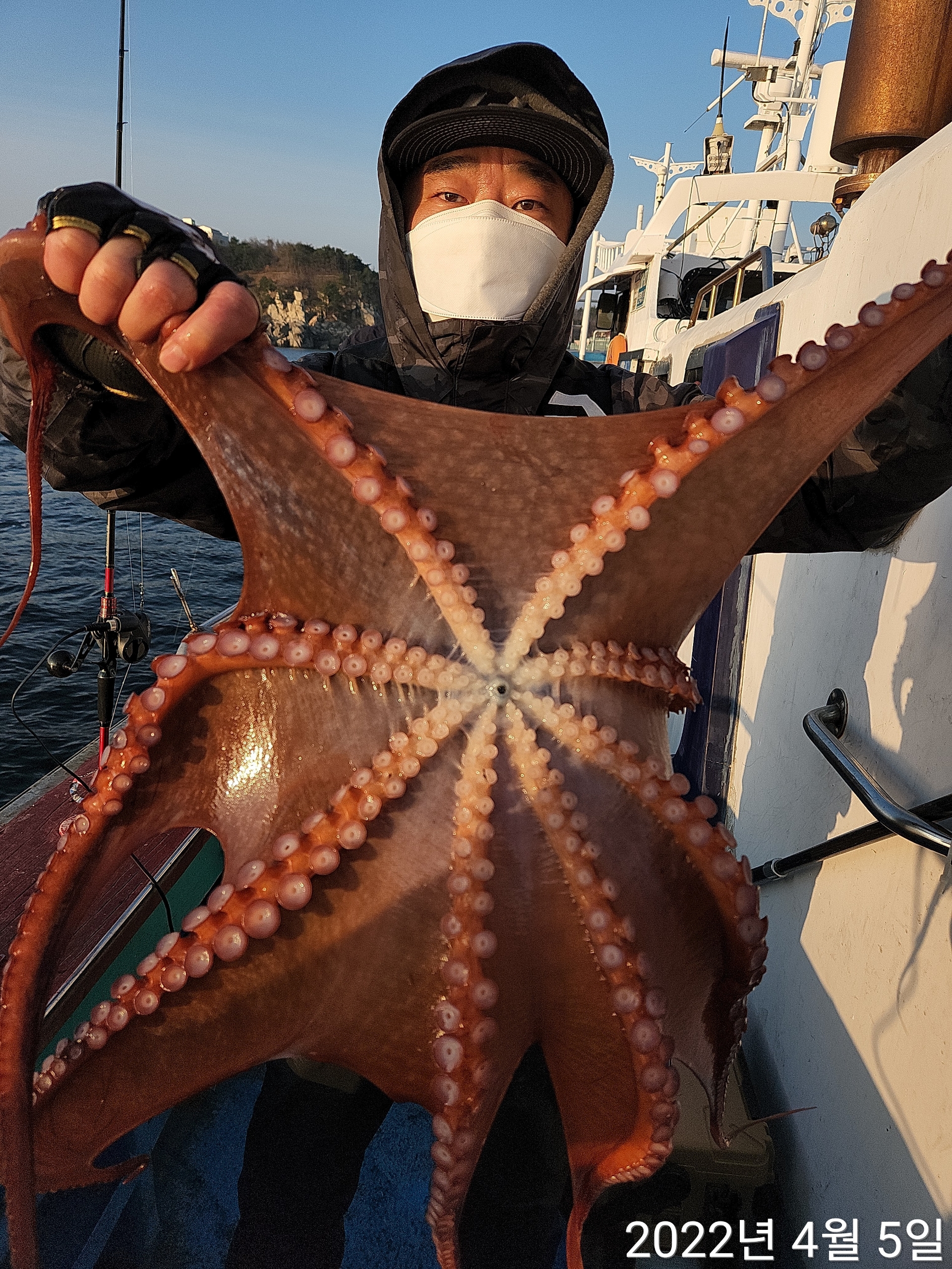 21인승비너스호 문어조황 4/5