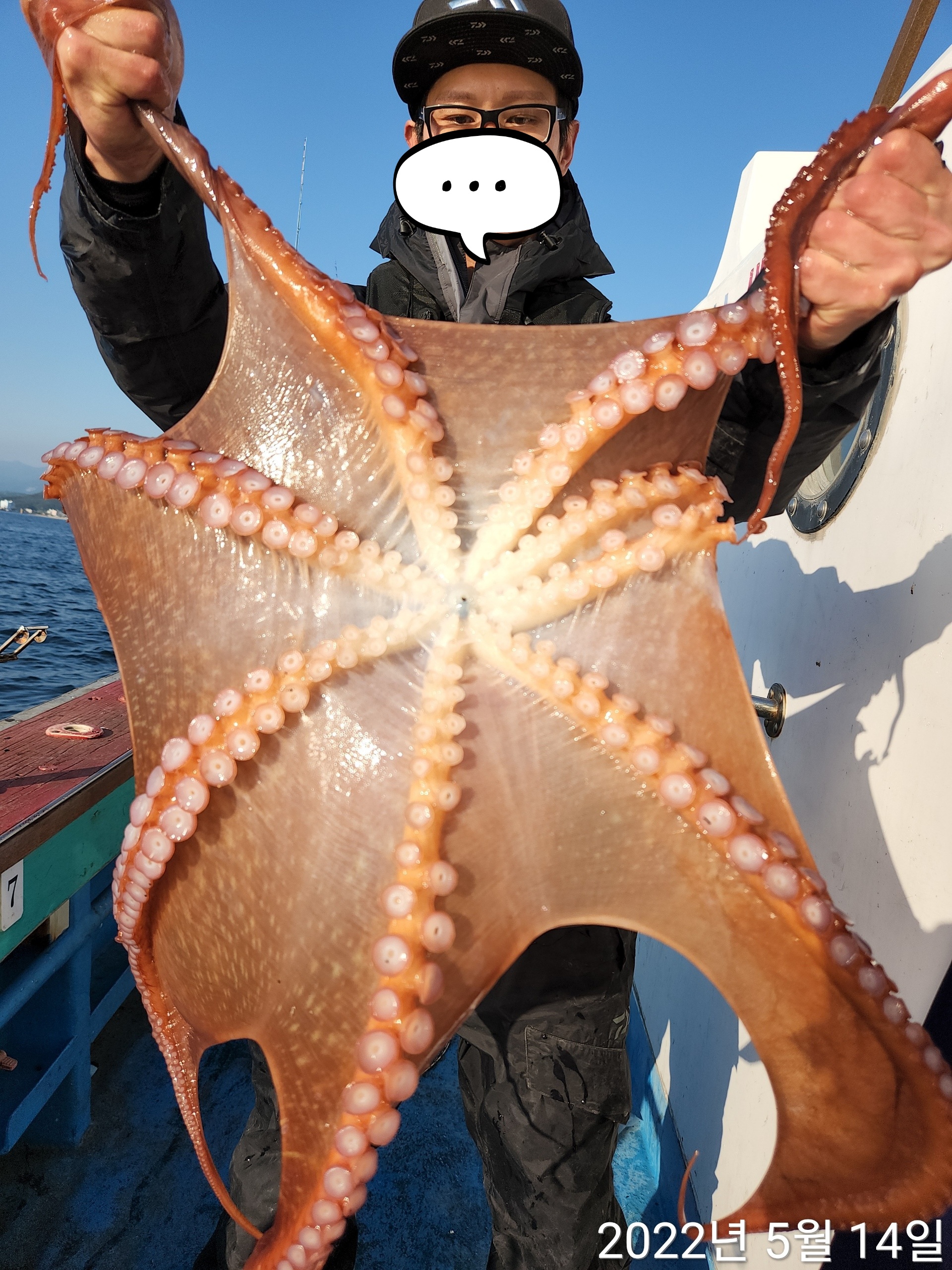 21인승비너스호 문어조황 5/14