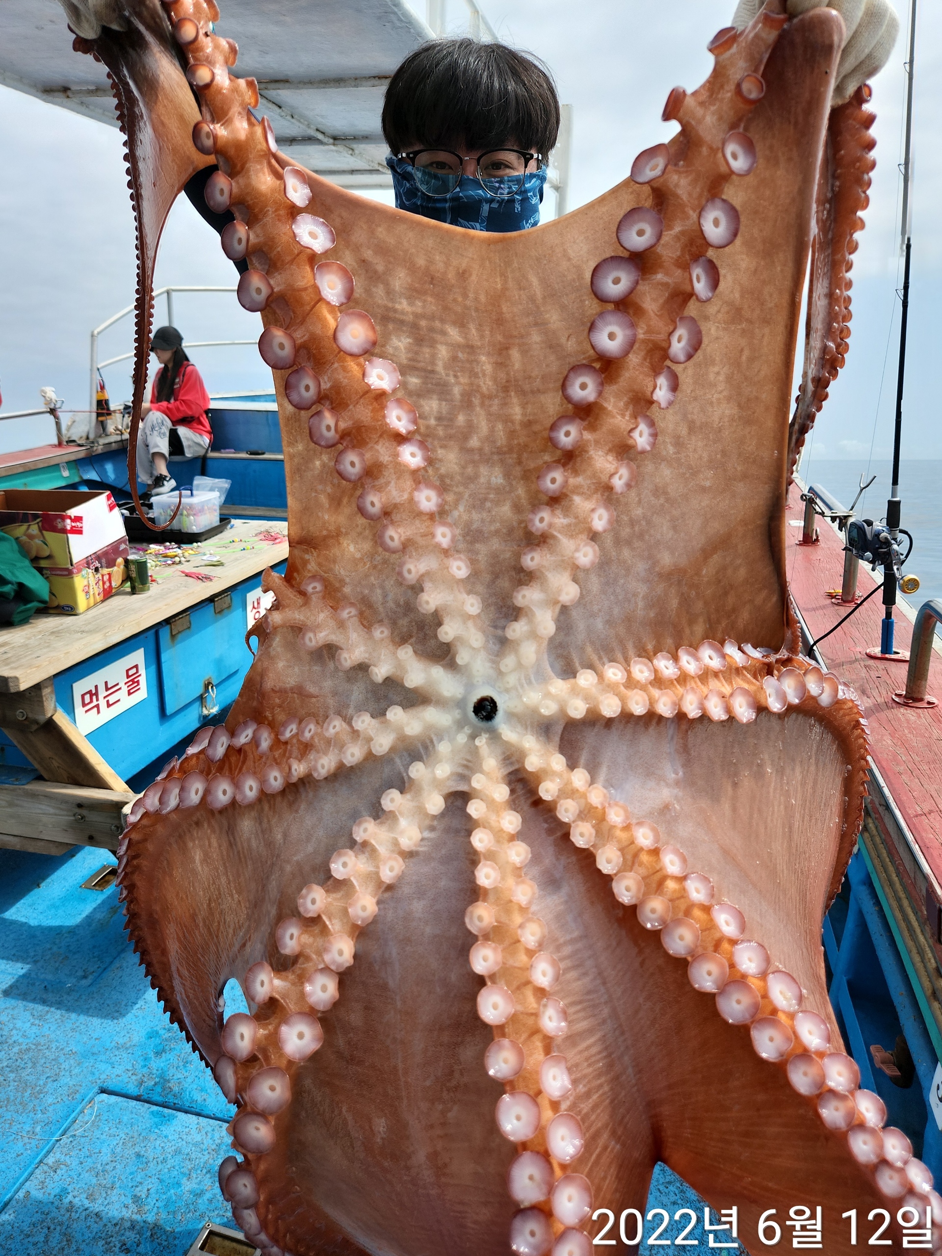 21인승비너스호 문어조황 6/12