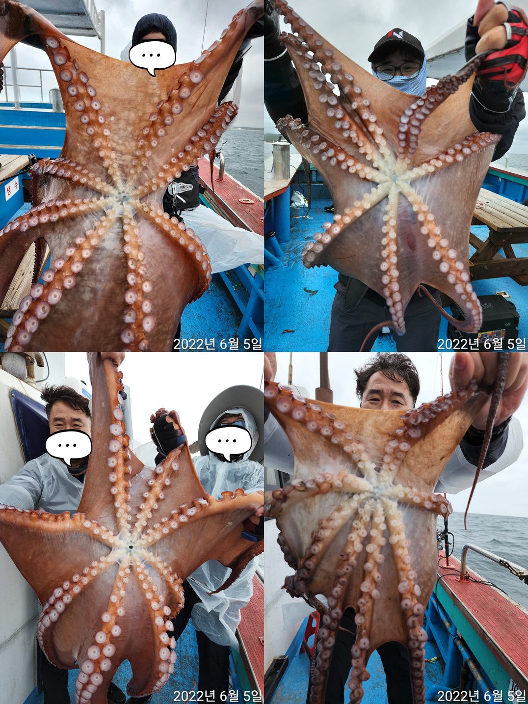 21인승 비너스호 문어 20마리 대박 6/5