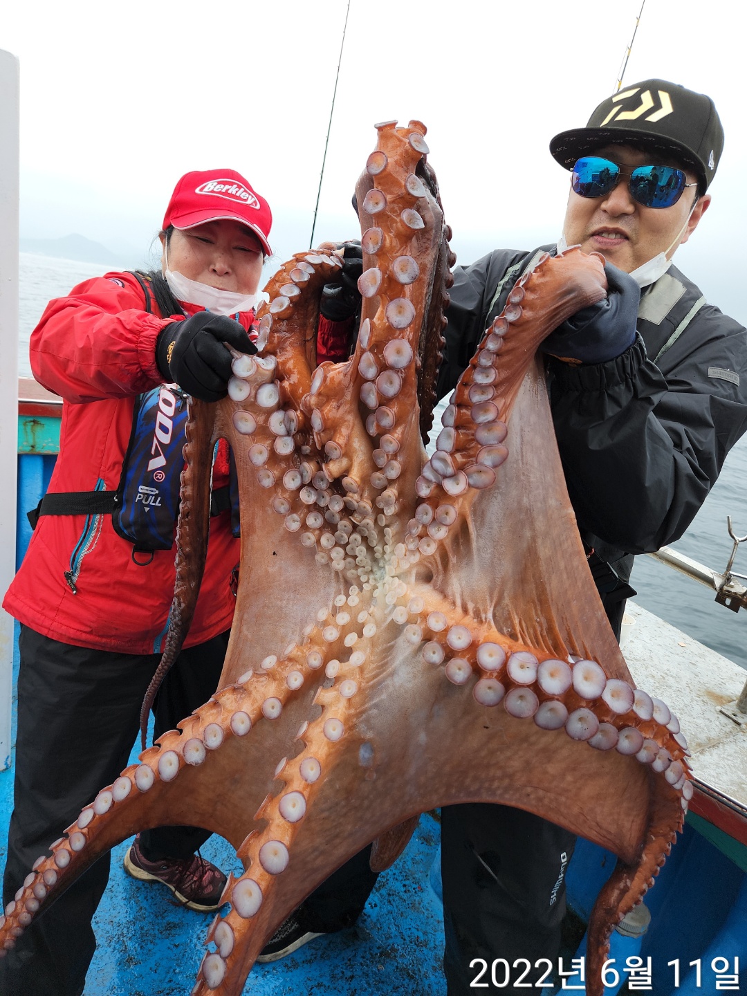21인승비너스호 대왕문어조황 6/11