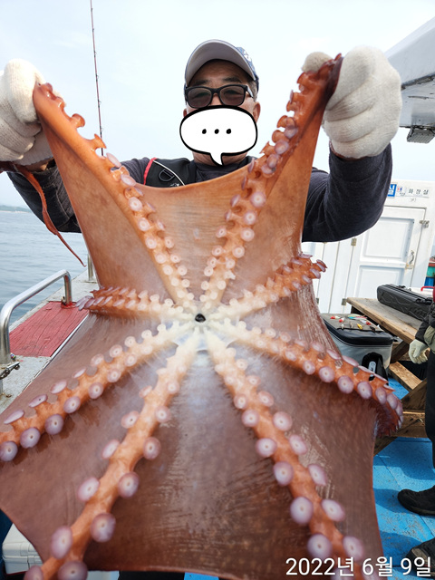 21인승비너스호 문어조황 6/9