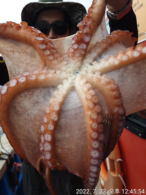 성복호 대왕문어대박 7/23