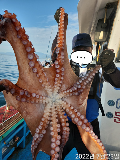 21인승 비너스호 왕문어대박 7/23