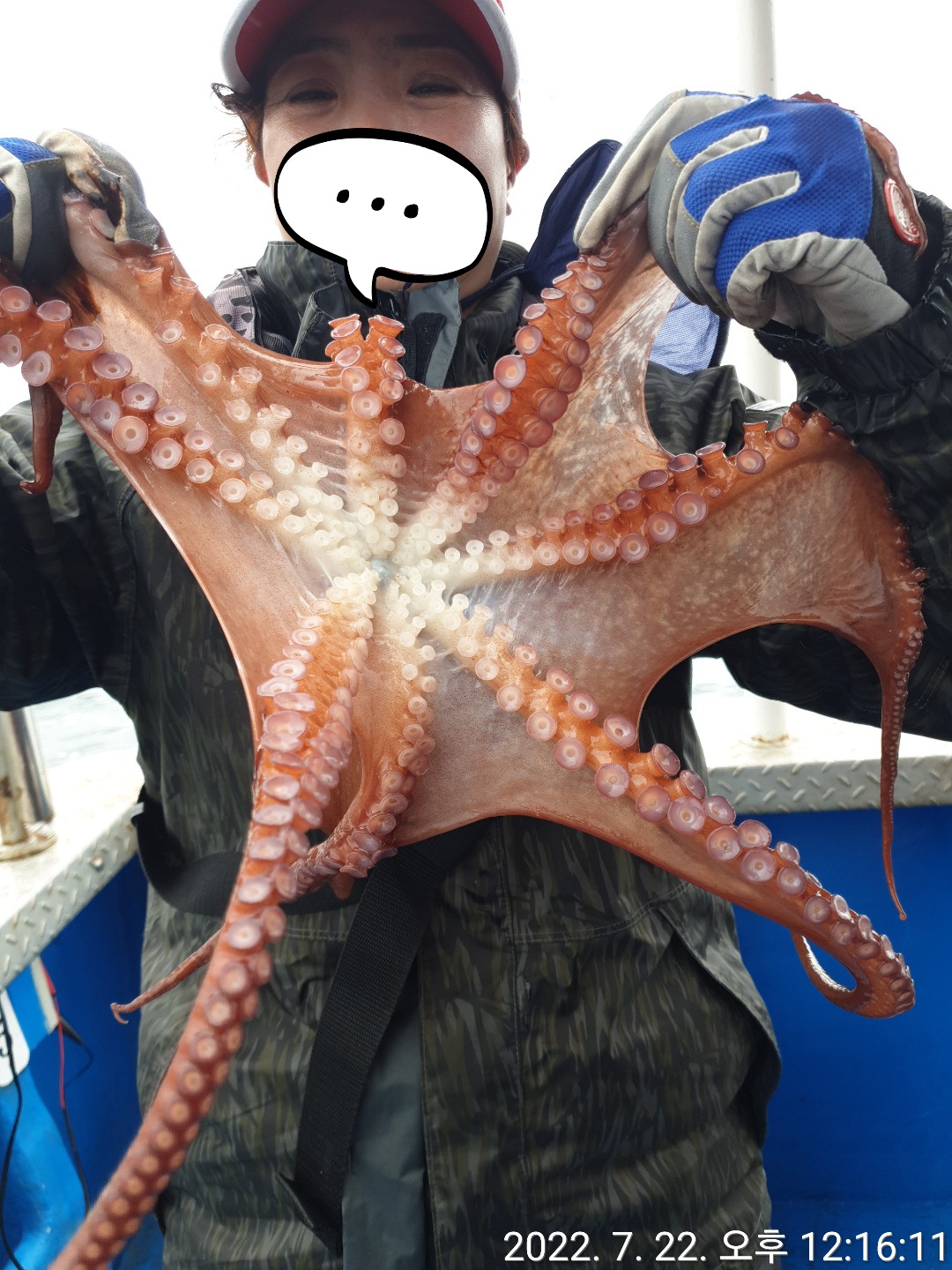 성복호 문어 대박