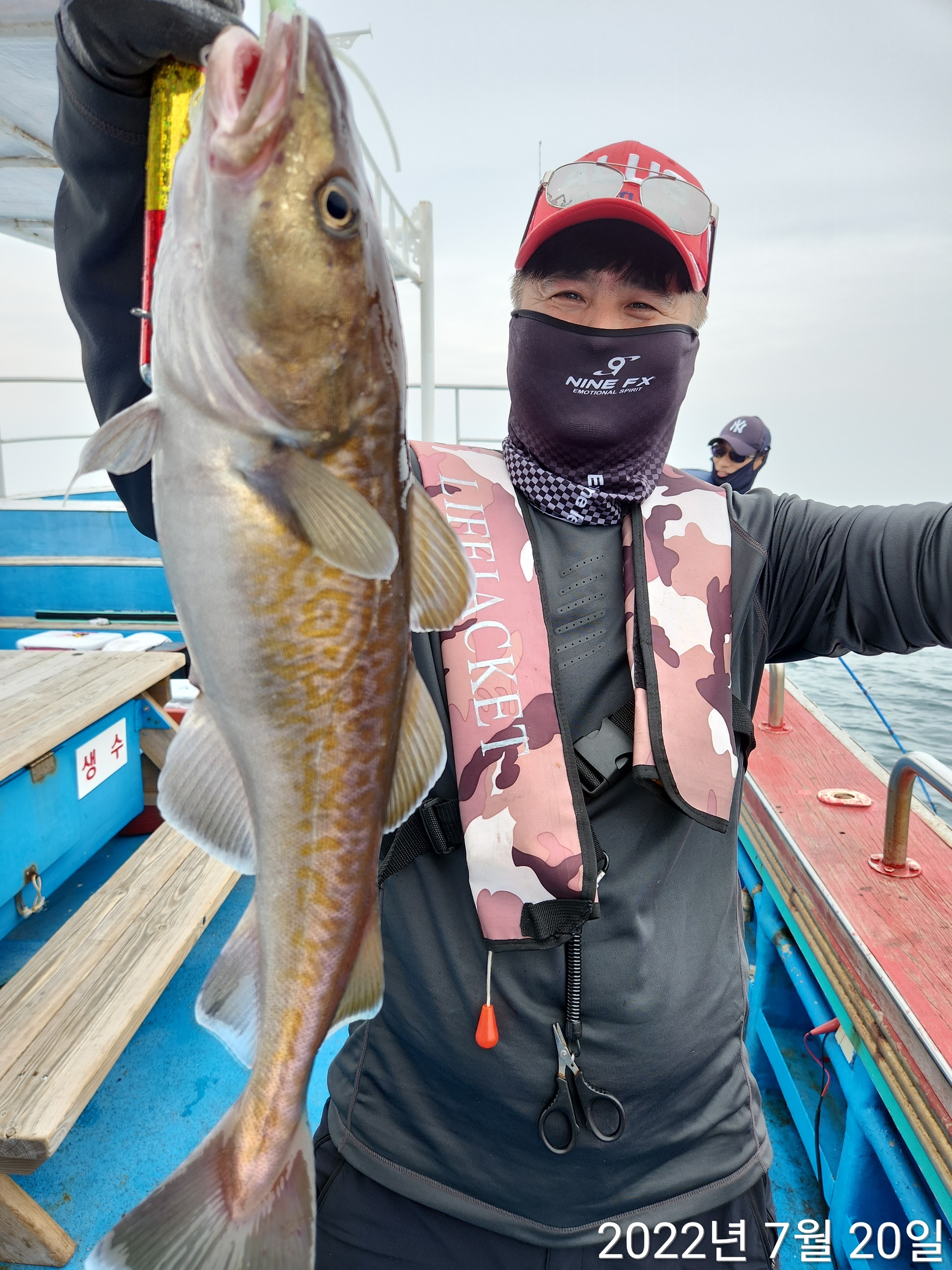 21인승 비너스호 왕대구 대박