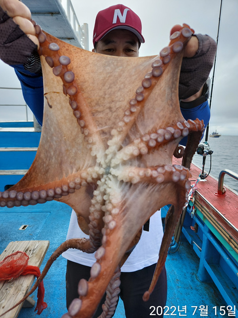 21인승 비너스호문어대박 16마리