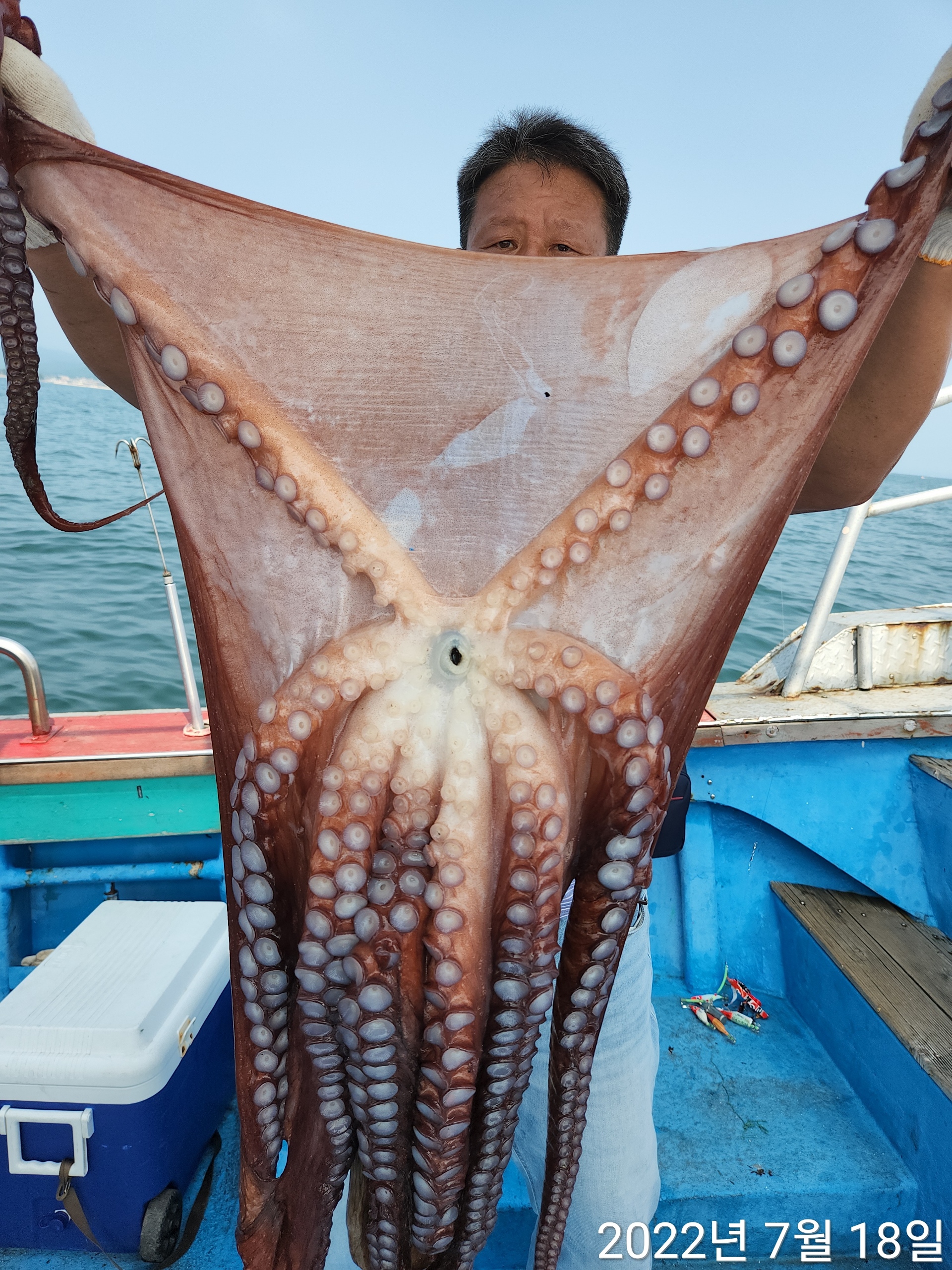 21인승 비너스호 8키로 4키로 3키로 대박