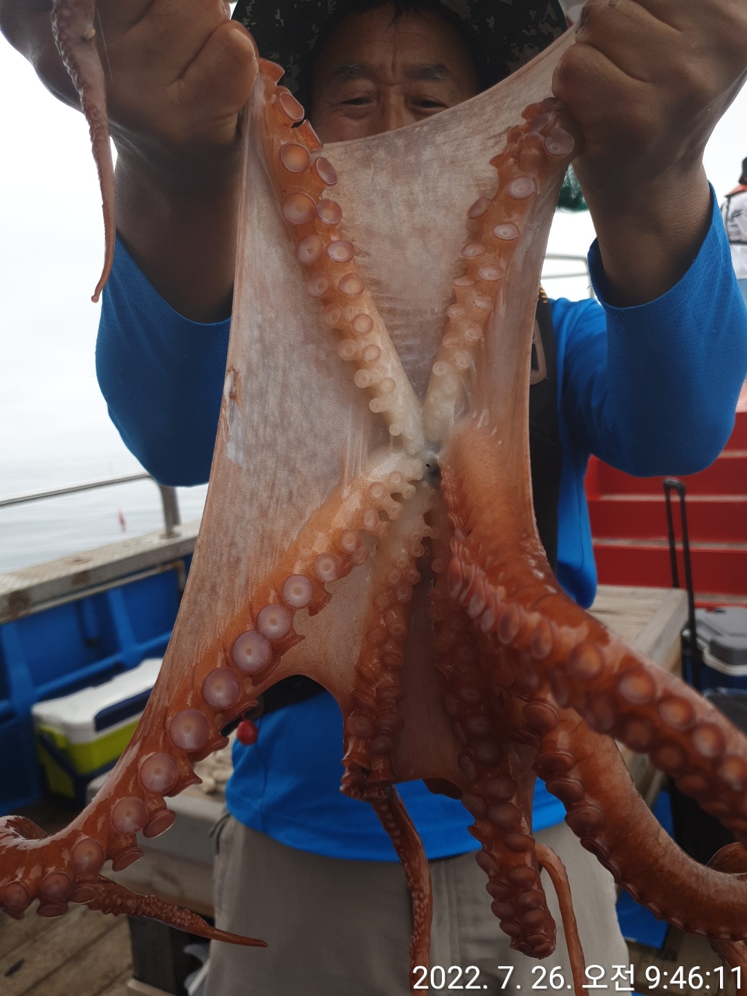 성복호 문어조황 7/26