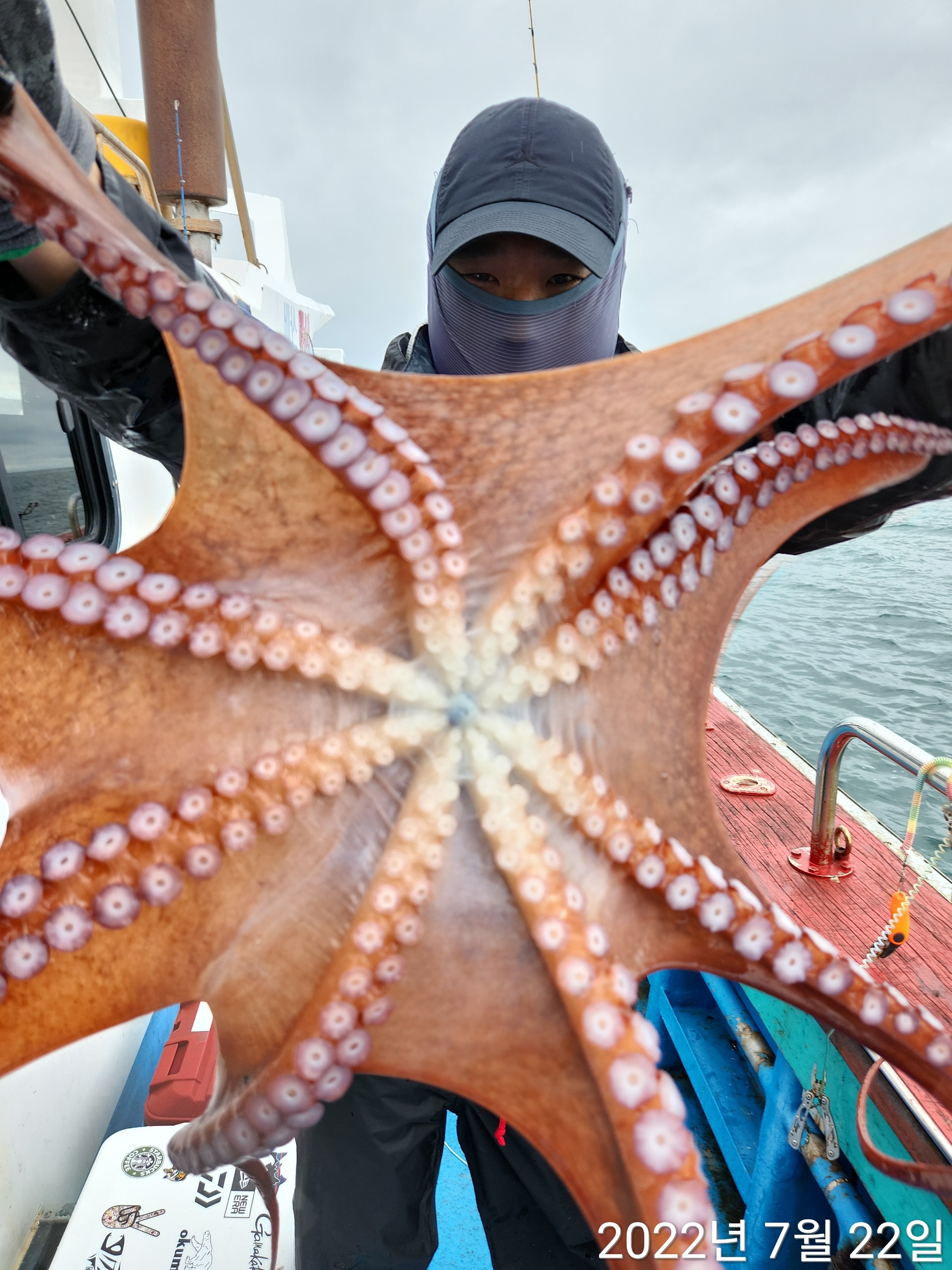 21인승비너스호문어조황