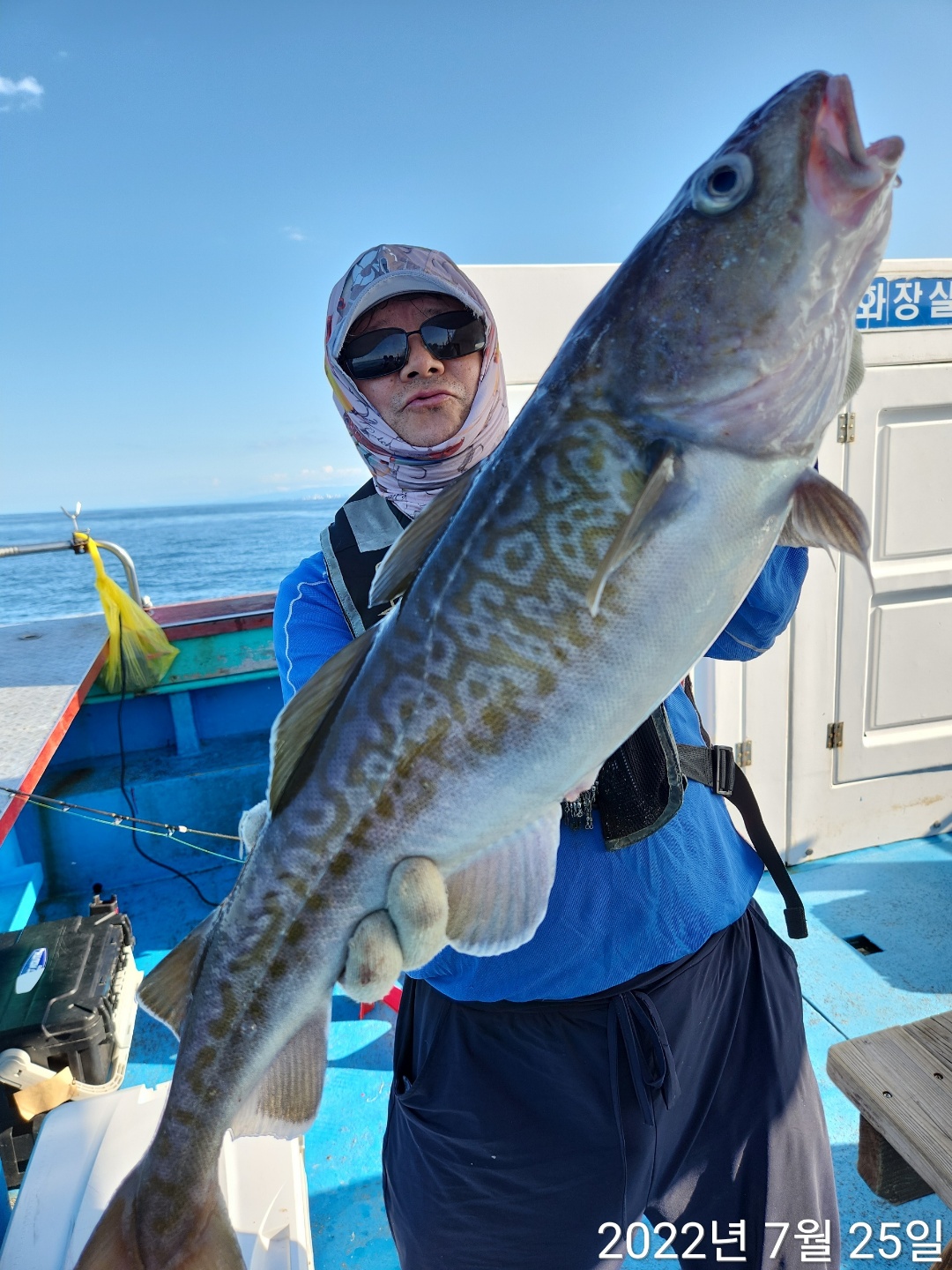 21인승 비너스호 오후 왕대박 대구 3시간 조황