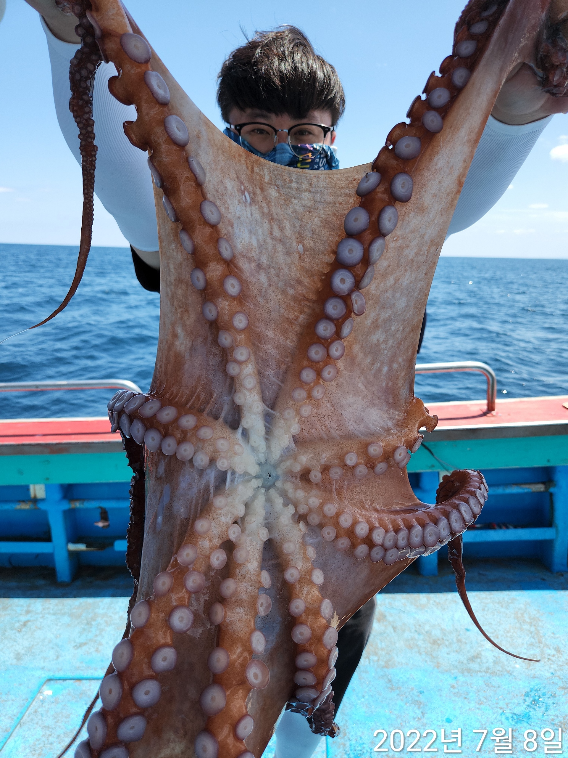 21인승비너스호 문어대박 18마리