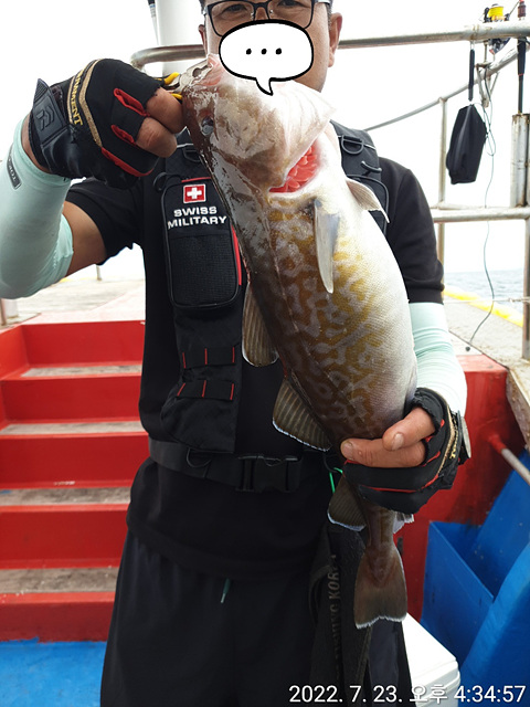 성복호 오후 대구대박 7/23