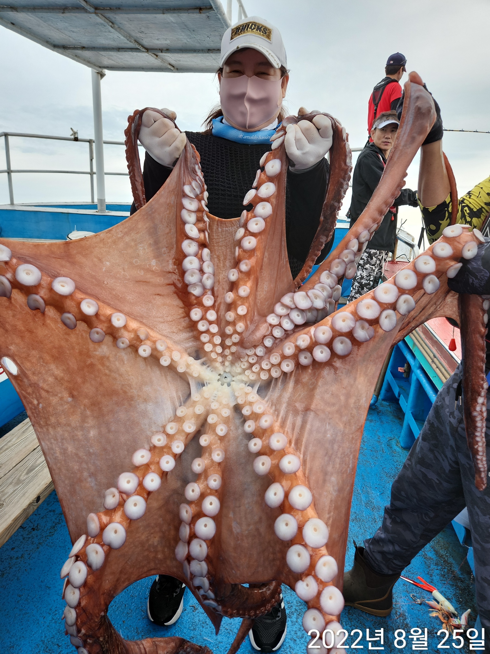 21인승비너스호 대왕문어조황 8/25