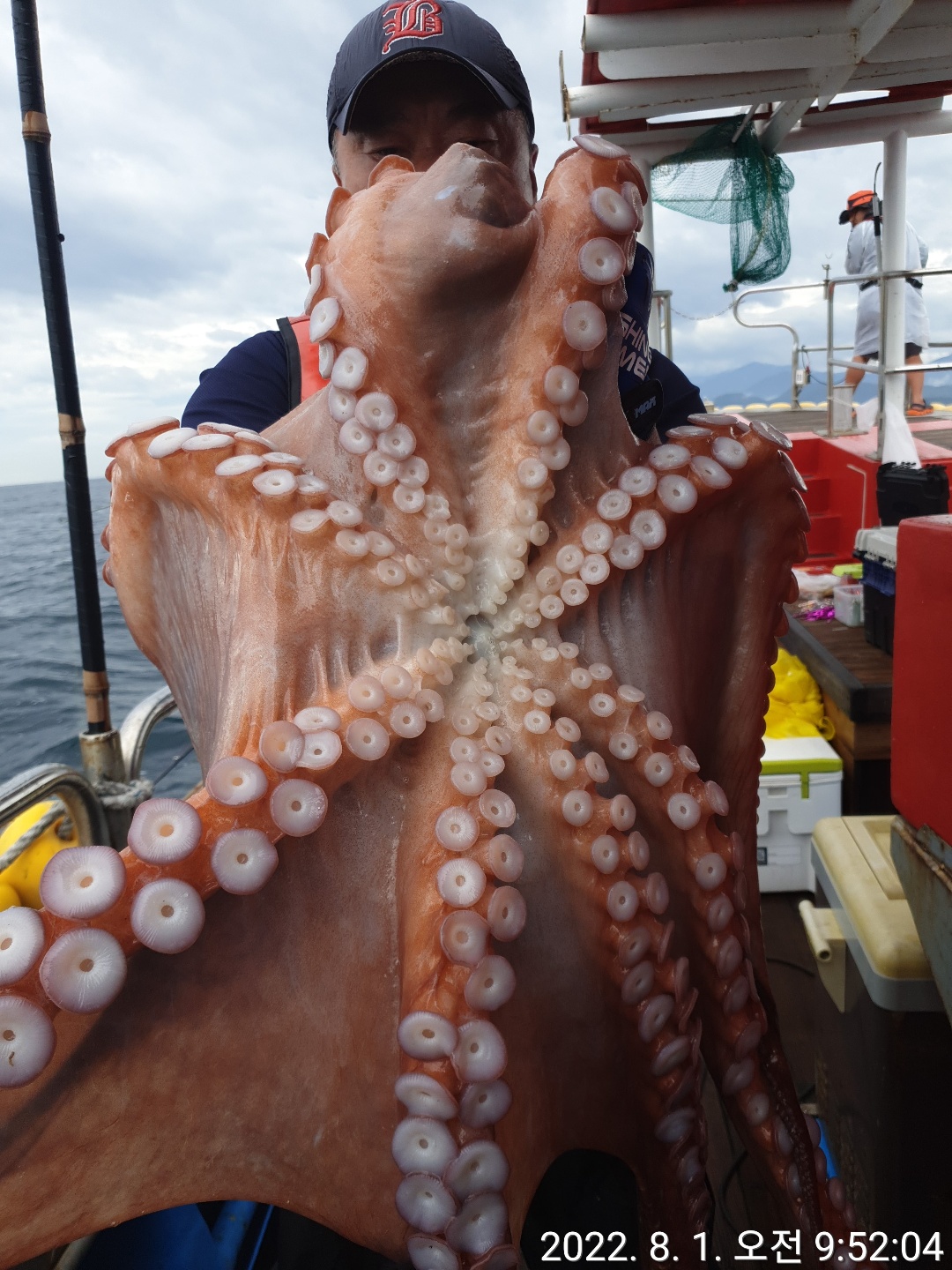 성복호 대왕문어 2마리 8/1