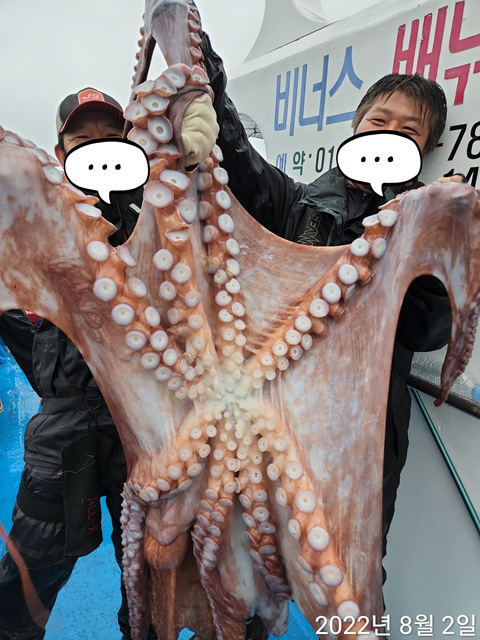 21인승 비너스호대왕문어 대박 5마리