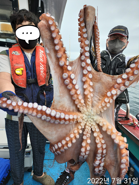 21인승비너스호 대왕문어 왕대구 대박  7/31