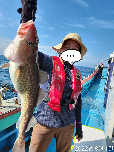 21인승 비너스호 오후 대구조황