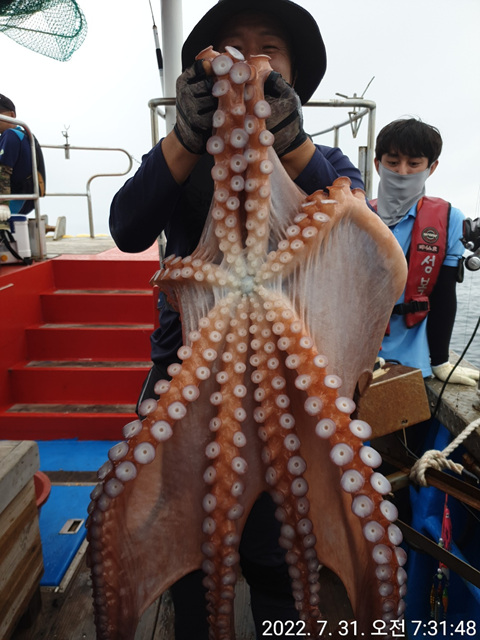 성복호 대왕문어 대박  7/31 5마리