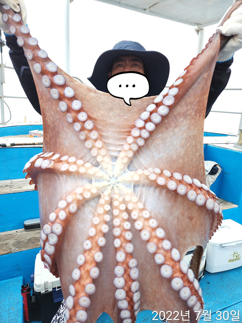 21인승 비너스호 대왕문어 대박  11마리 7/30