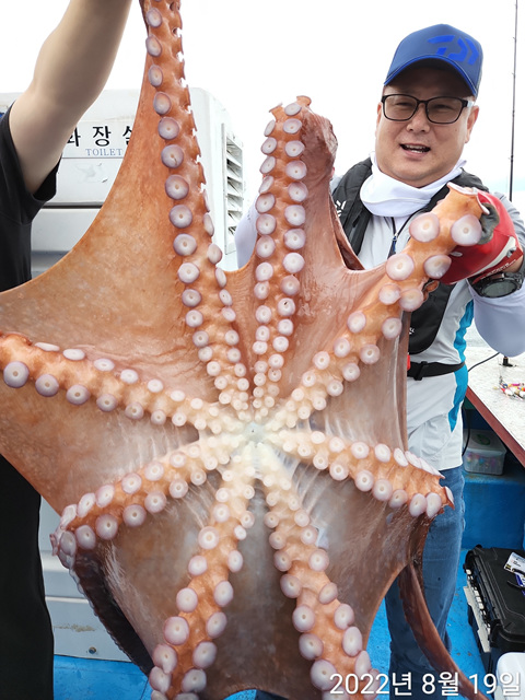 21인승 비너스호 대왕문어 대박  3마리