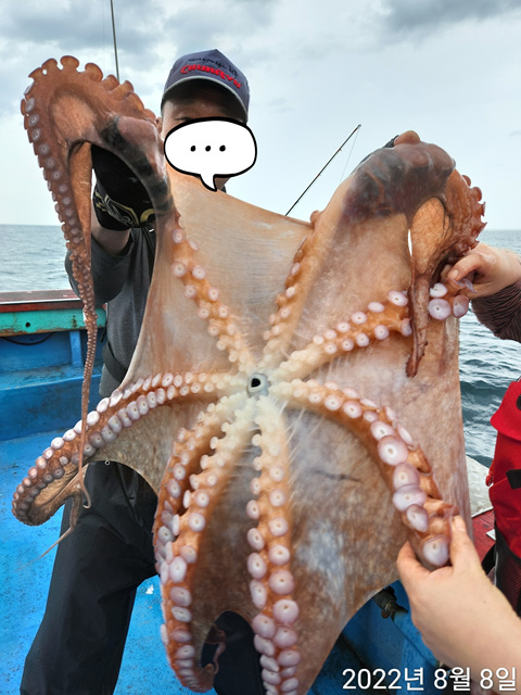 21인승비너스호 대왕문어대박