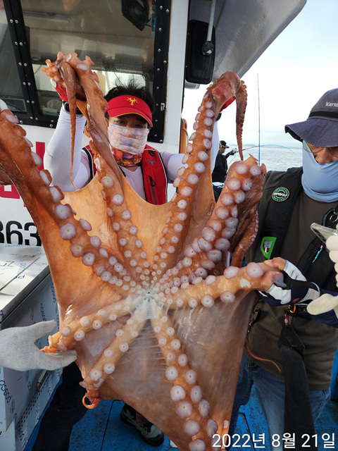 21인승 비너스호, 성복호  대왕문어 조황 8/21