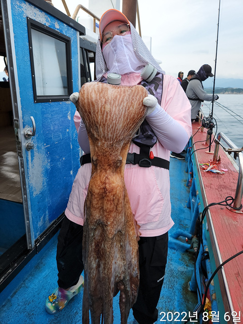 21인승비너스호 문어 , 대구 조황 8/6