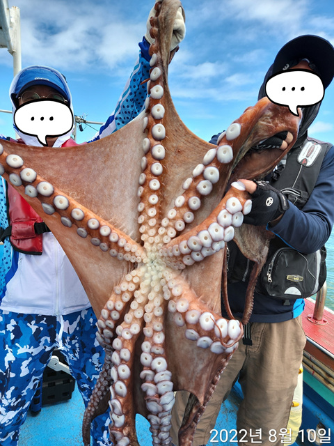 21인승비너스호 대왕문어조황