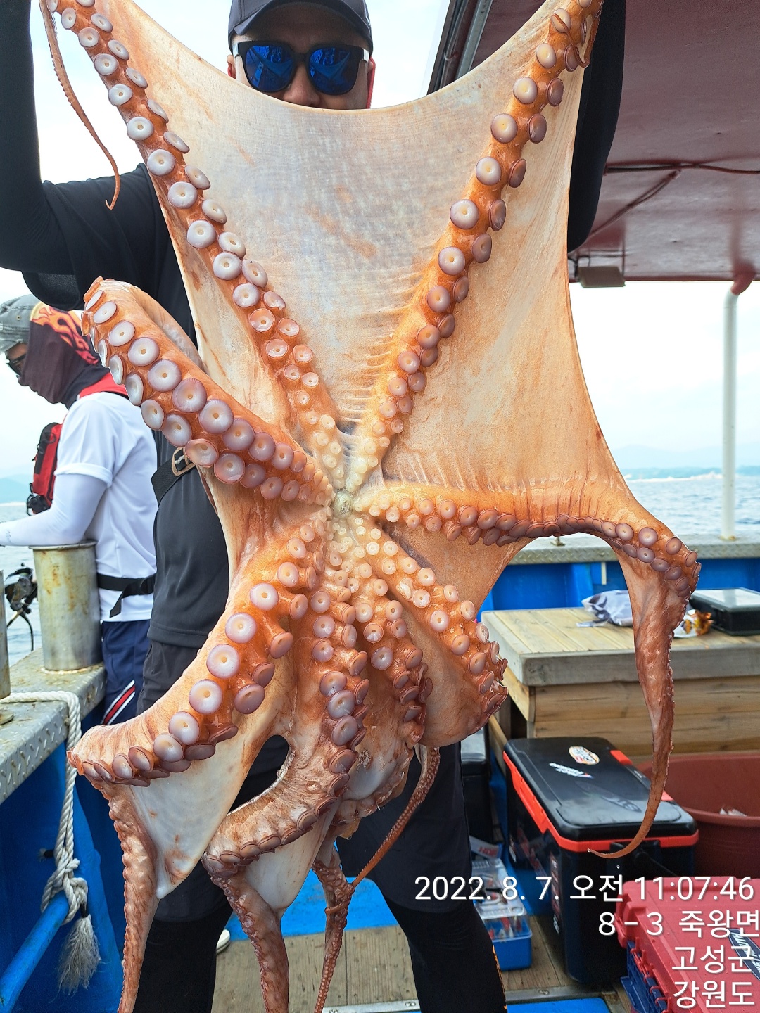 성복호 대왕문어조황 8/7