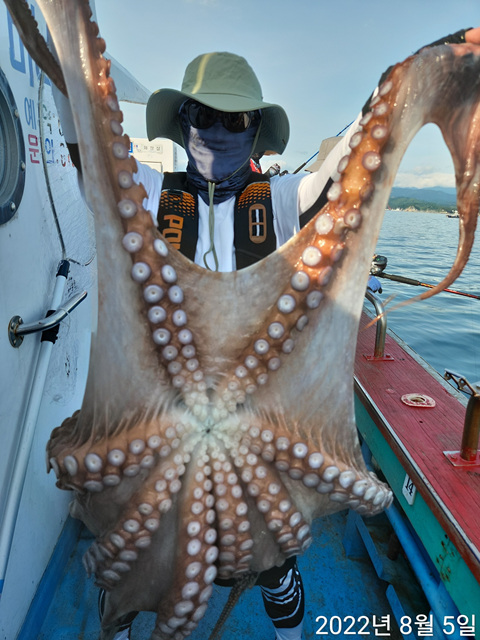 21인승비너스호 8/5조황