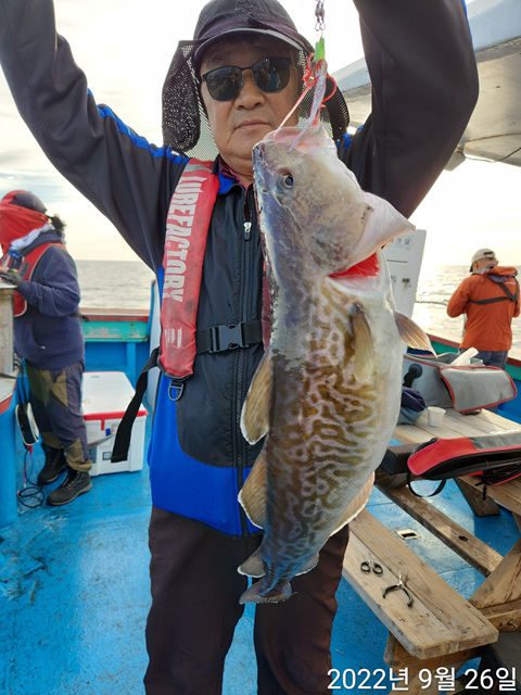 21인승 비너스호  왕대구대박