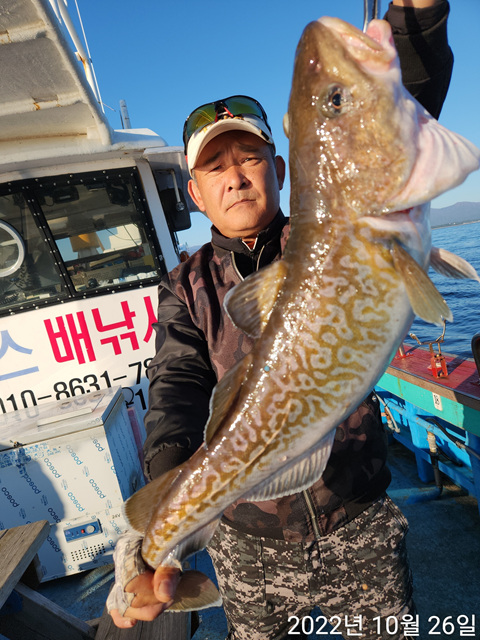 21인승 비너스호 왕대구조황 10/26