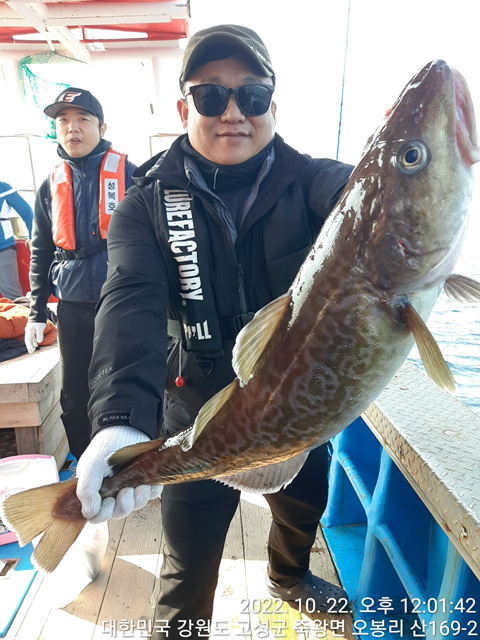 21인승 비너스호왕대구조황 10/22