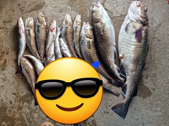 성복호 왕대구조황