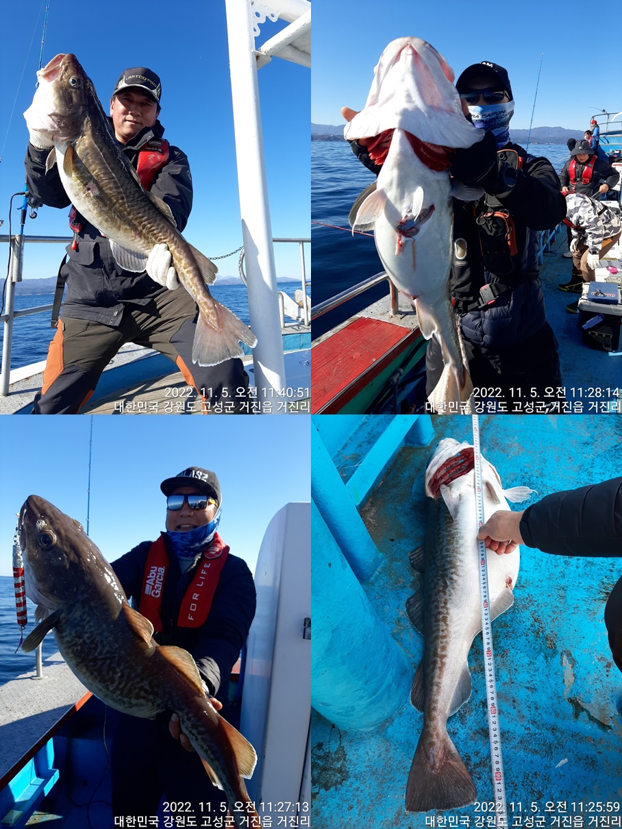 21인승 비너스호 왕대구 70~95 사이즈 대박