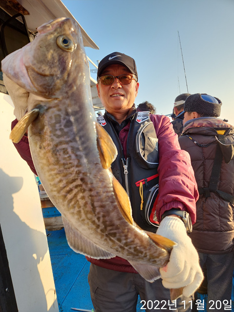 21인승 비너스호 왕대구조황 11/20