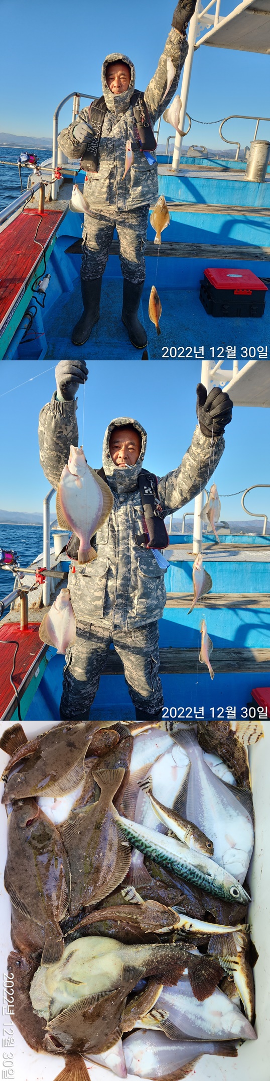 21인승 비너스호 어구가자미조황