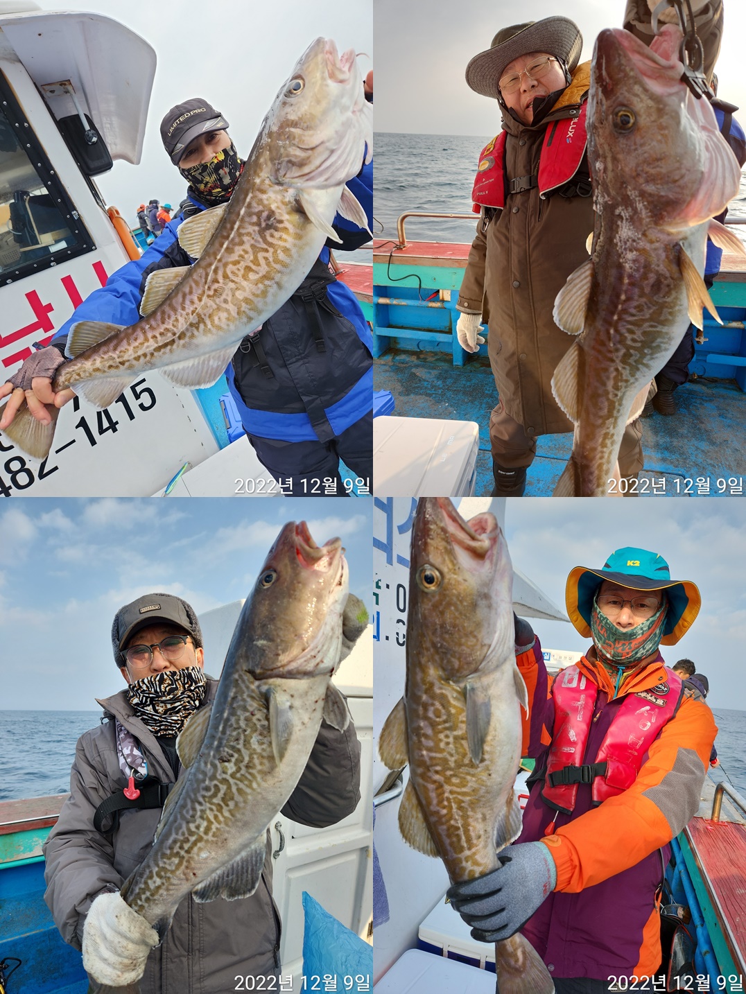 21인승 비너스호 왕대구 조황 12/9