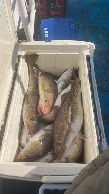 21인승 비너스호 왕대구 출조예약받습니다