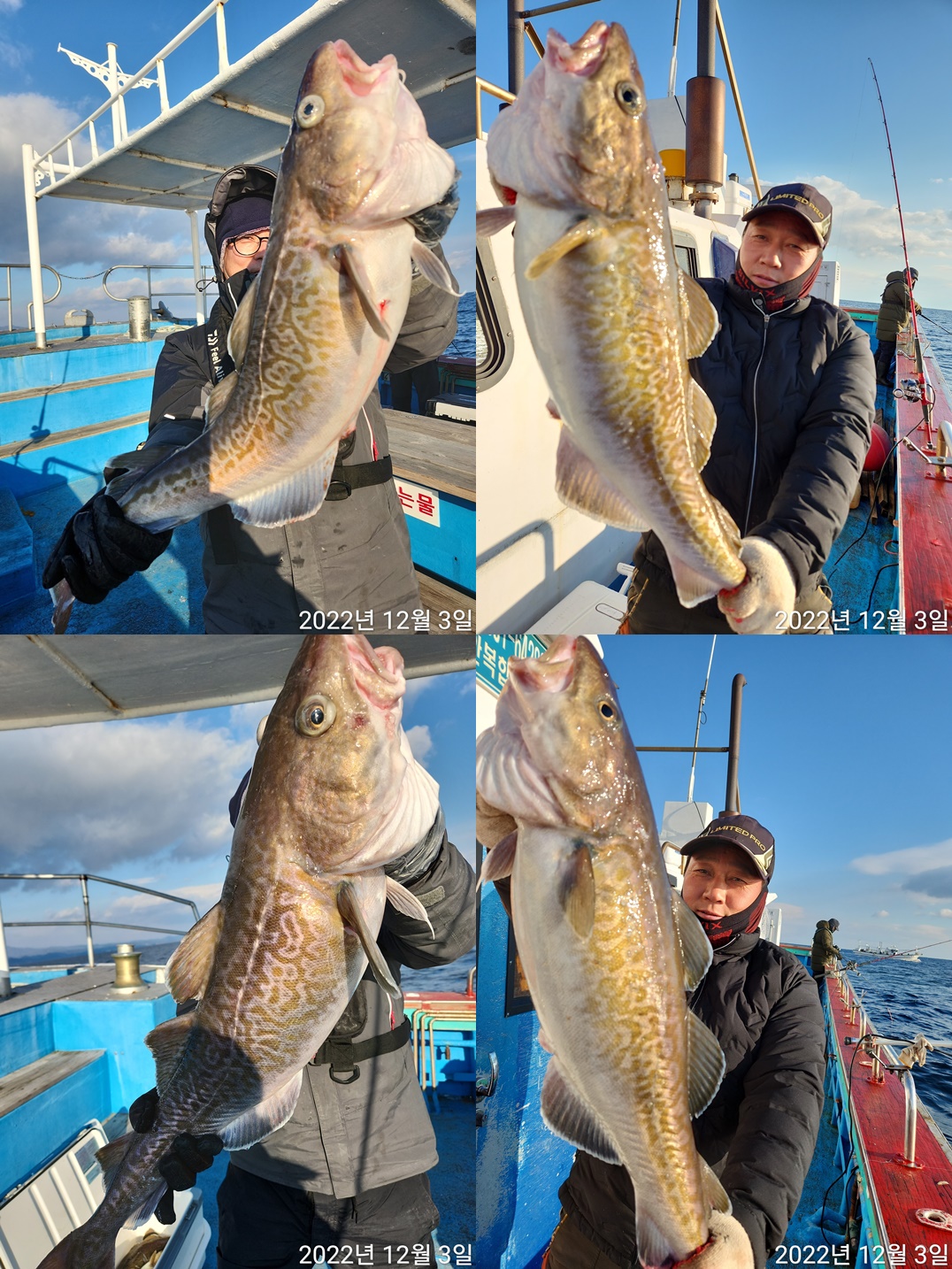 21인승 비너스호 빅사이즈 왕대구 쿨러조황