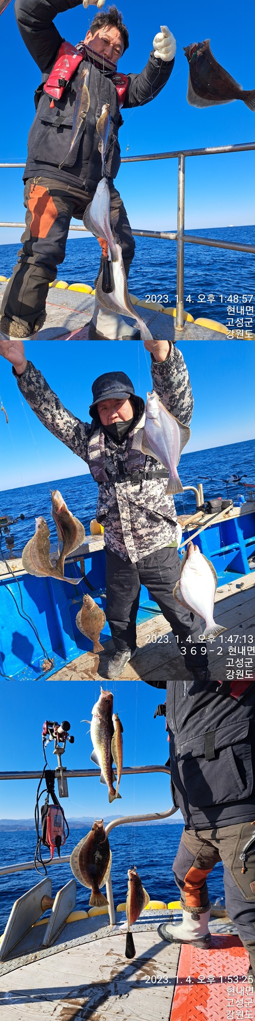 성복호 빅싸이즈조황 굿~