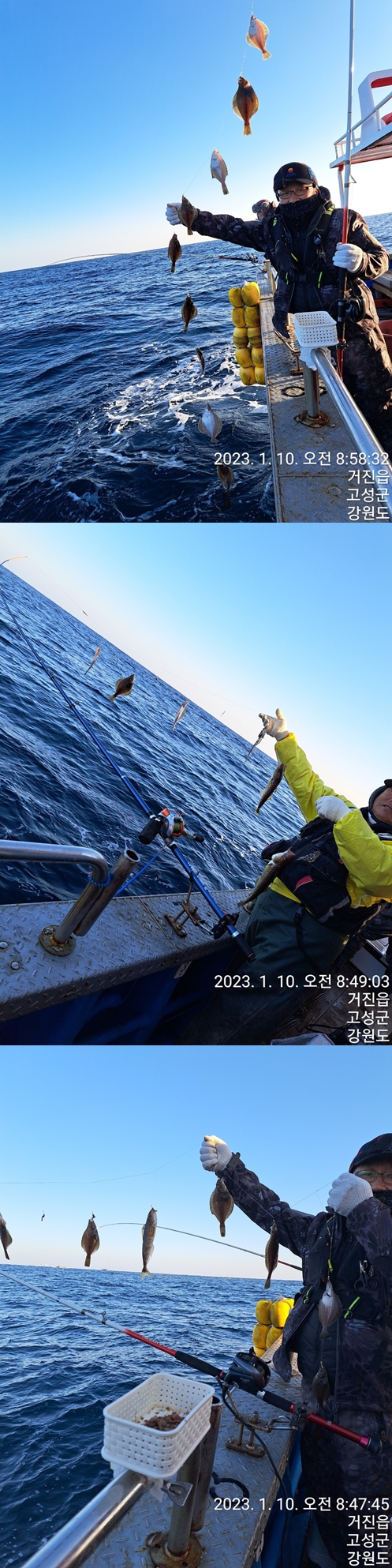 성복호 어구가자미조황