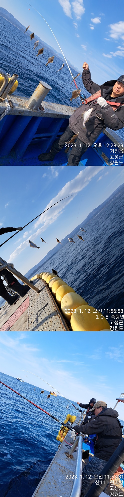 성복호 어구가자미조황 /12