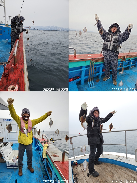 21인승 비너스호 어구가자미조황 1/22