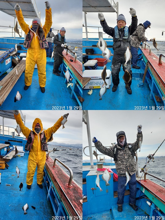 21인승 비너스호 어구가자미조황 1/29