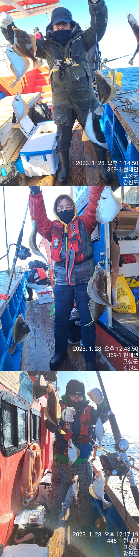 성복호 어구가자미조황1/28