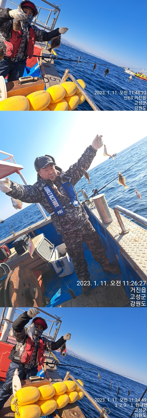 성복호 어구가자미조황